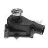 IH 303395R91 Water Pump